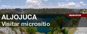 Entrar a micrositio de este Municipio