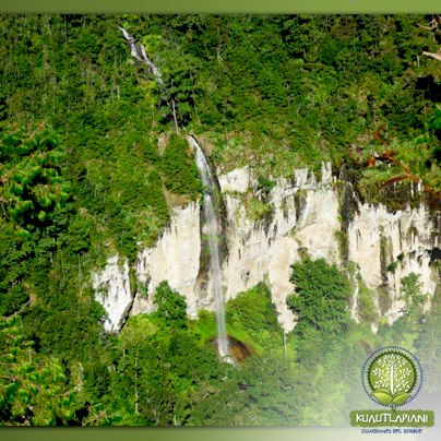 482426_134282916747398_1352164733_n