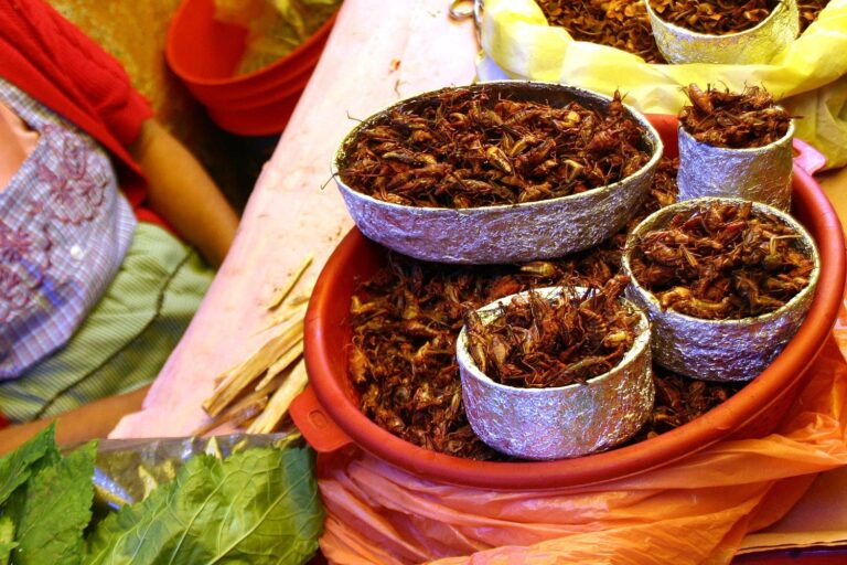 Platillos típicos deliciosos…que te daría asco probar
