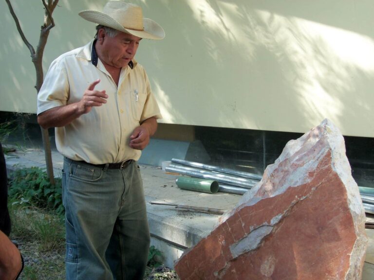Puebla Antigua: Museo de Paleontología Tlayúa, Pie de Vaca en Tepexi de Rodríguez