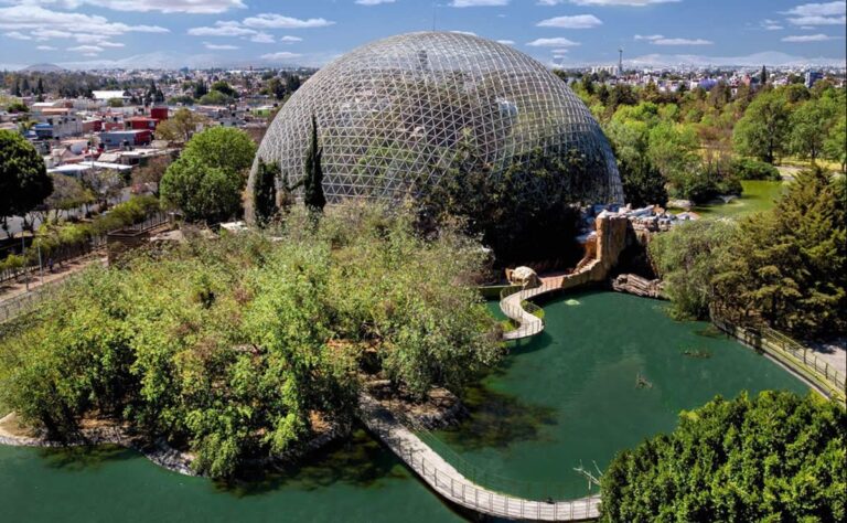 Parque Ecológico y Aviario de Puebla: Un rincón lleno de vida