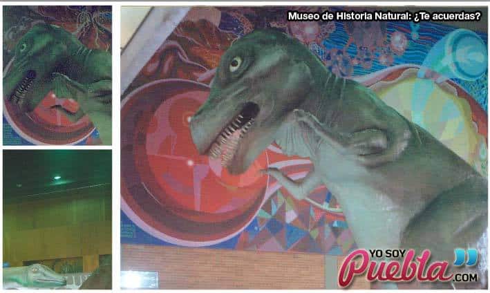 puebla-museo-historia-natural-tiranosaurio