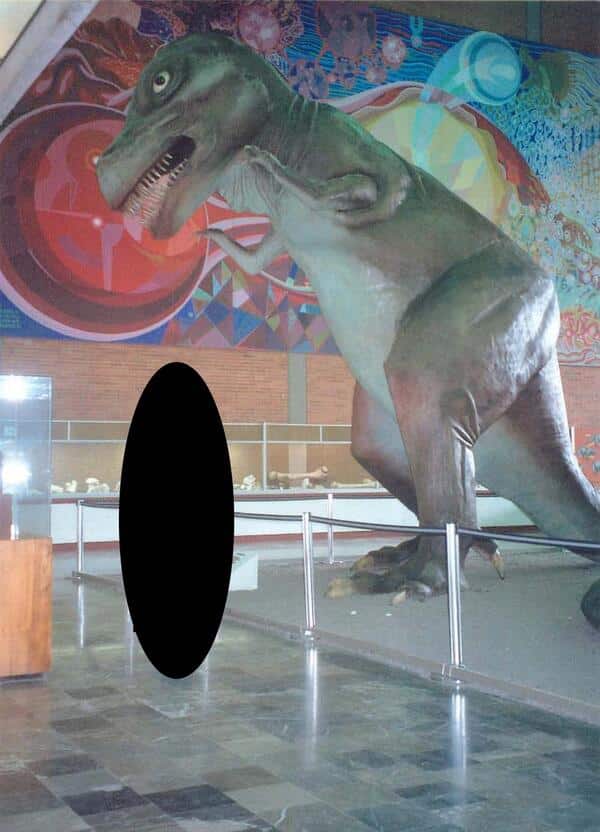 museo-historia-natural-puebla-tiranosaurio-rex