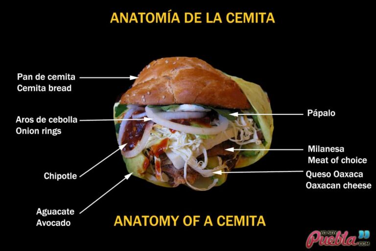Descubre la sabrosa anatomía de la cemita poblana