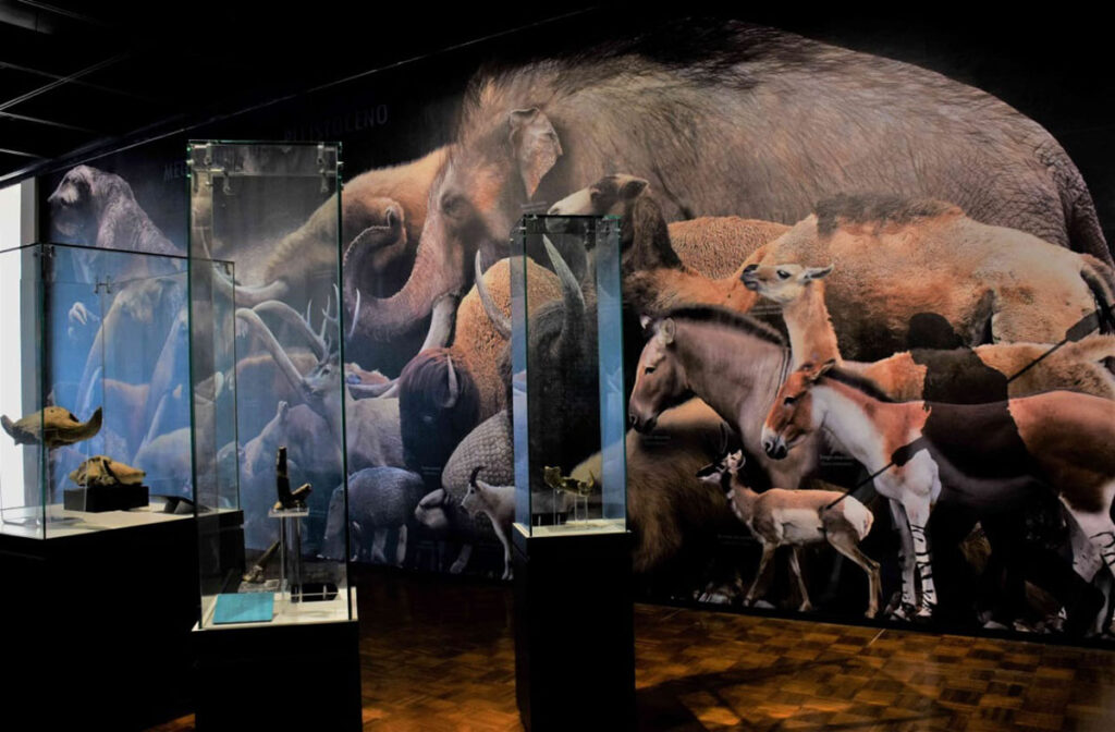 Museo Regional de Puebla