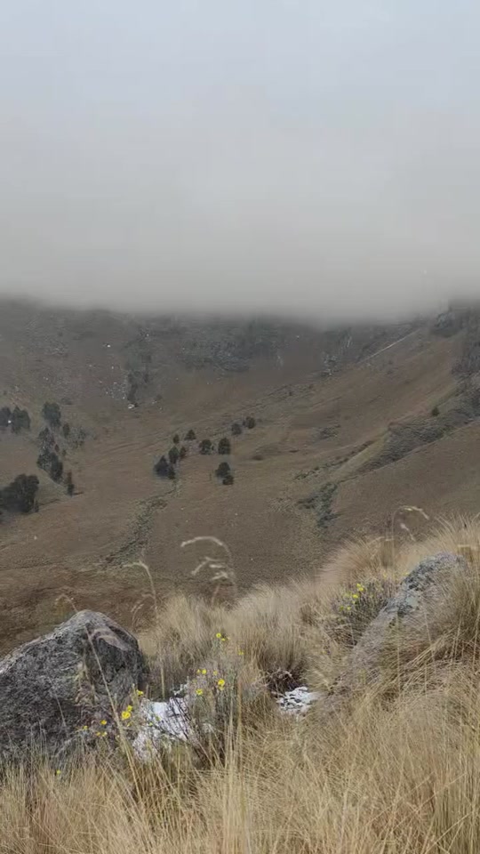 Parque Izta-Popo